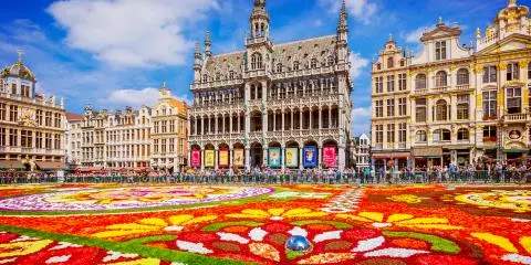 Titelbild für Blumenteppich Brüssel 2024