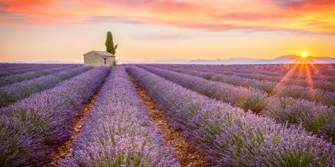 Titelbild für Glanzlichter der Provence 2024